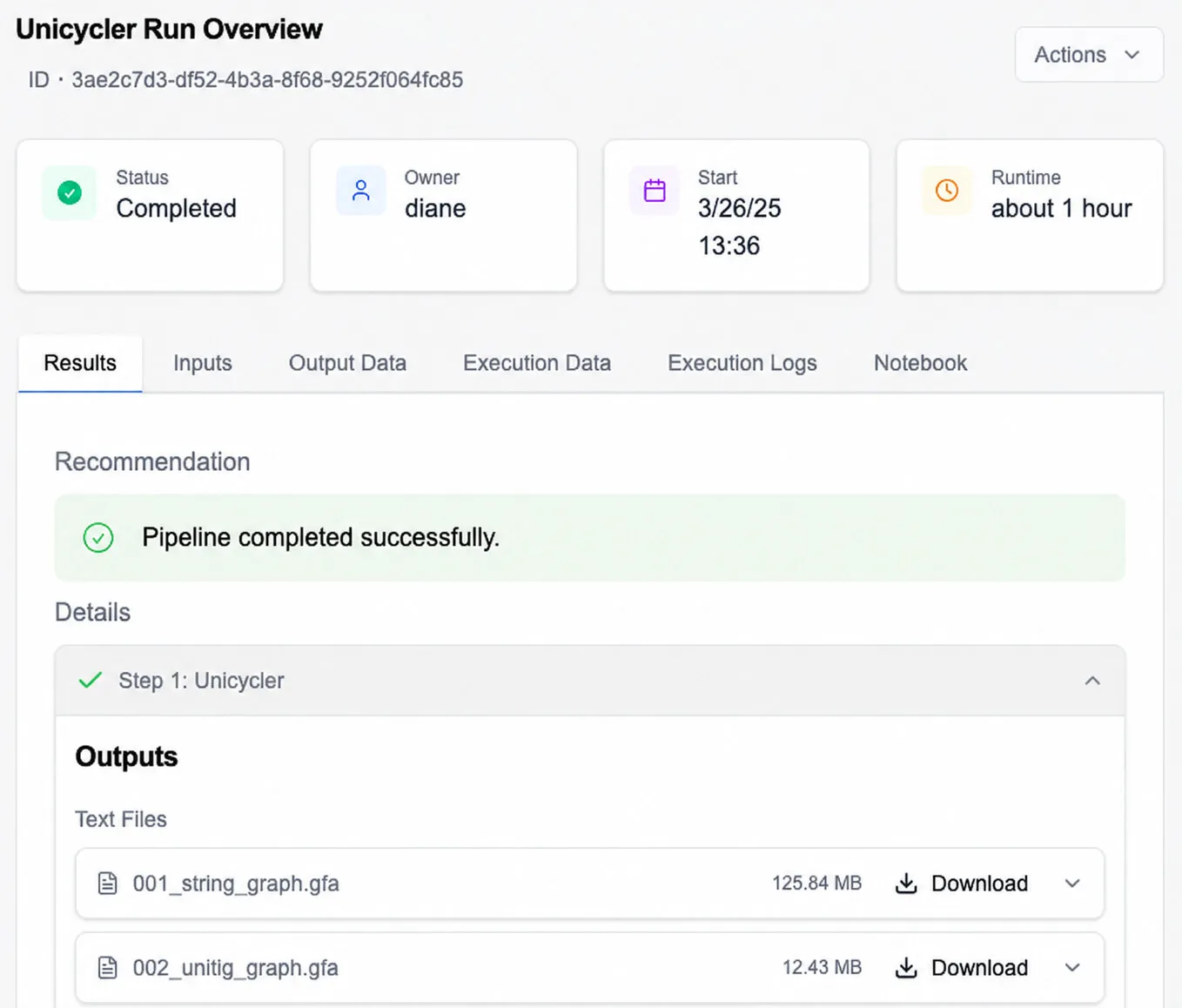 Completed Unicycler pipeline run overview showing status, runtime, results, and downloadable output files