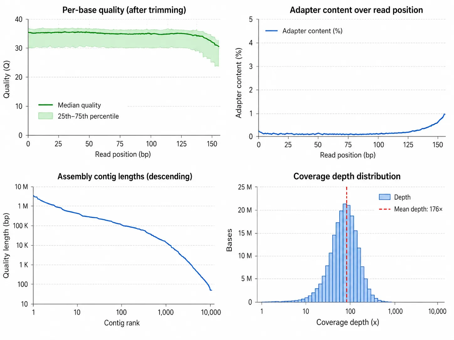Sequencing quality summary showing per-base quality, adapter content, assembly contig lengths, and coverage depth distribution